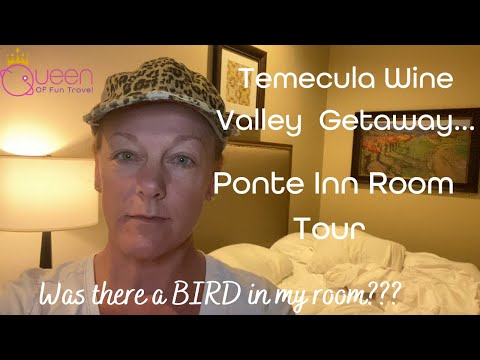 Ponte Winery Inn Room Tour - Full Room Tour and Walkthrough