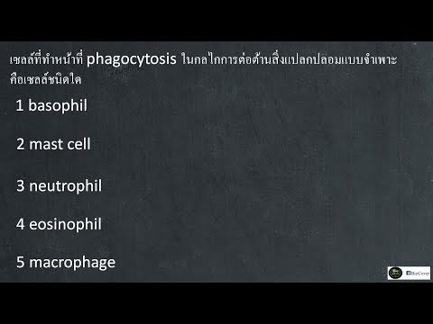 ชีววิทยา เฉลย 9 วิชาสามัญ 59 ข้อ 36 : ระบบภูมิคุ้มกัน Phagocytosis ในภูมิคุ้มกันแบบจำเพาะ