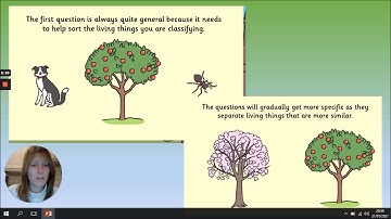 Year 4 Science Classification keys