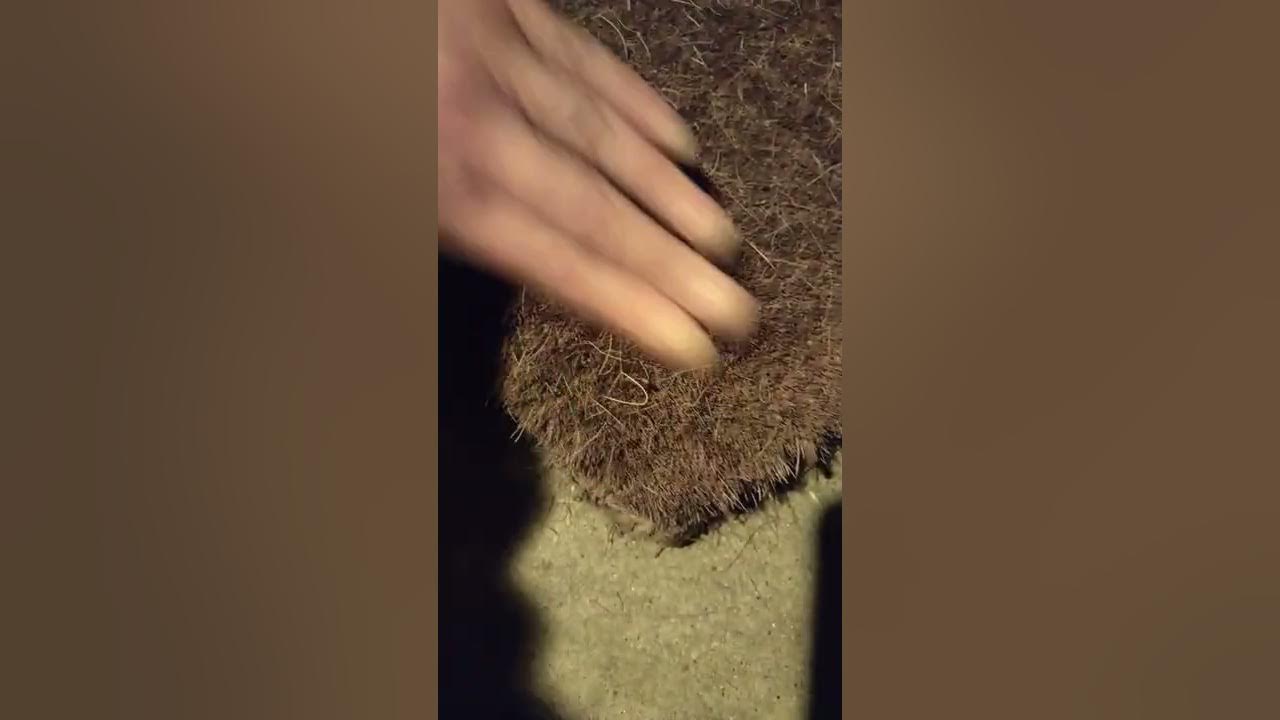 Scratching Brushing A Bristle Doormat Tapping And Scratching Concrete