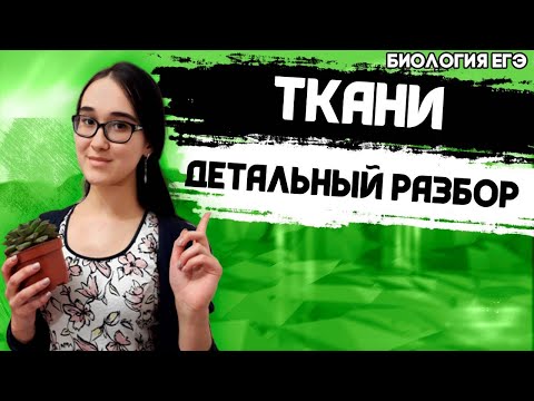 Video: Эмне үчүн меристема кыртыш маданиятында колдонулат?