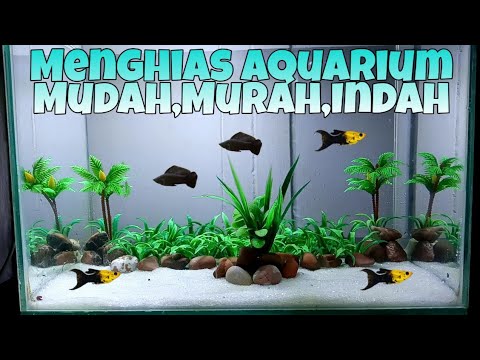 5100 Dekorasi Aquarium Air Tawar Terbaru