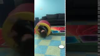 IMG 7369
