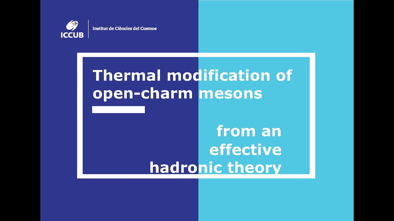 Webinar Thermal modification of open-charm mesons from an effective hadronic theory by G. Montaña