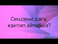 N 41 Сен,сени,сага создорун пайдалануу