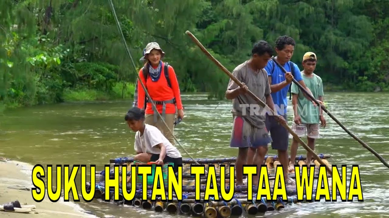 [FULL] SUKU HUTAN TAU TAA WANA | JEJAK PETUALANG (13/06/25)