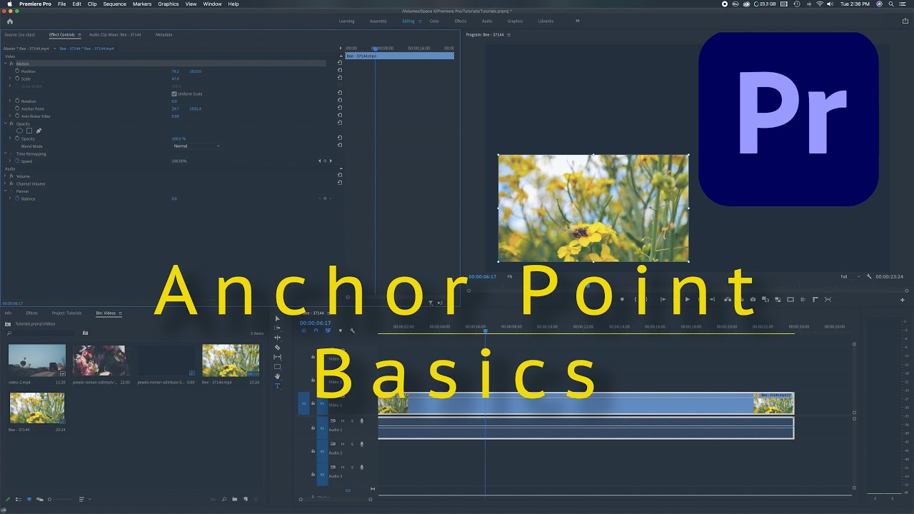 ANCHOR POINTS For Custom Motion In Adobe Premiere Pro CC