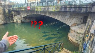 Du poisson dans ce TUNNEL?? Pêche à la DINDE et au VER !