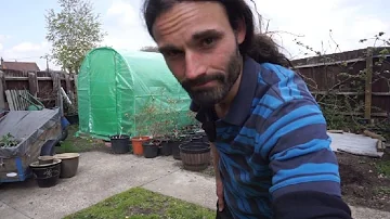 Small homesteading | Allotment | Smallholding | Allotment garden