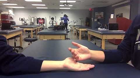 MCP Flexion MMT Grades 0-5