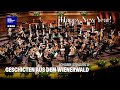 Geschichten aus dem Wienerwald // Danish National Symphony Orchestra (Live)