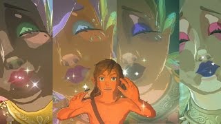 Zelda: Breath of the Wild - Great Fairy Fountain Animation Compilation