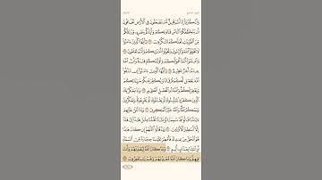 سورة الأنفال آية (٣٣)