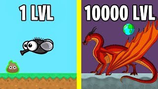 ALL ANIMALS EVOLUTION! - FlyOrDie.io