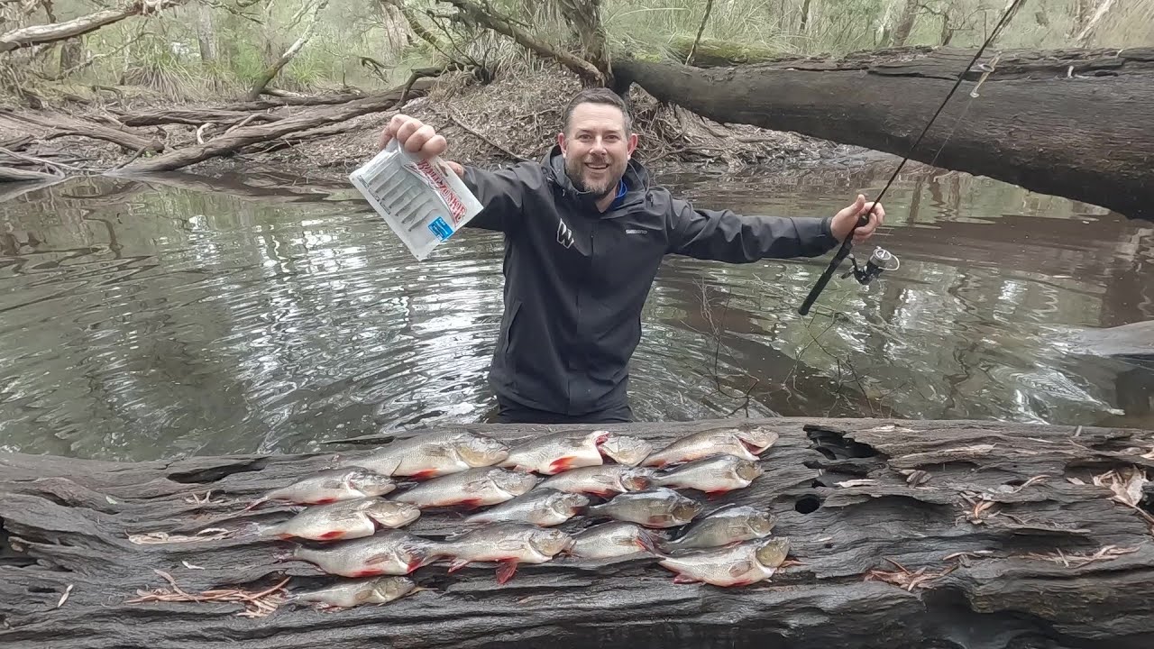 Early Morning River Fishing SECRETS That Will Change Your Game!