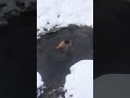 # КРЕЩЕНИЕ 19.01.2019г