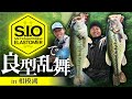 【バス釣り】アフタースポーン攻略。相模湖で良型乱舞!.天野雄太/藤田夏輝