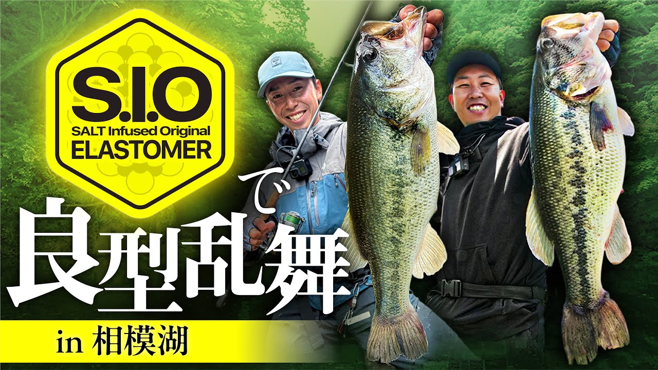 BASS アーカイブ - FRESH WATER バス釣り ｜JACKALL｜ジャッカル｜ルアー