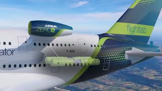 Celebrity Introducing the ZEROe demonstrator 720p Profile