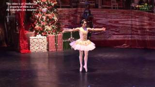 NUTCRACKER SHV 2011- Part 10.mov