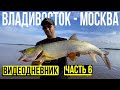 МОЩНЕЙШИЕ ПОКЛËВКИ ЖЕЛТОЩЕКА! Рыбалка на Амуре. Экспедиция на автокемпере Владивосток/Москва.Часть 6