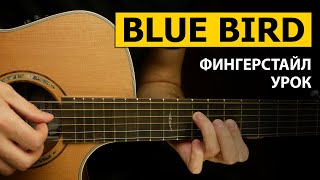 Как играть BLUE BIRD на гитаре | Фингерстайл урок - Подробный Разбор | NARUTO
