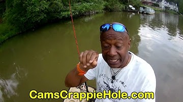 💥💥1 HOUR CATCH BLUEGILL & SHELLCRACKERS RIGHT NOW WITH EAZZZ 100 OF THEM WATCH HOW I DO IT💥💥