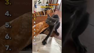 DON'T CHECK THE SOUND 😭