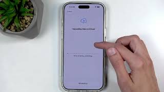 Famous iPhone 17 Pro Max – How to Factory Reset Net Worth