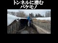 トンネルに潜むモンスター‼️