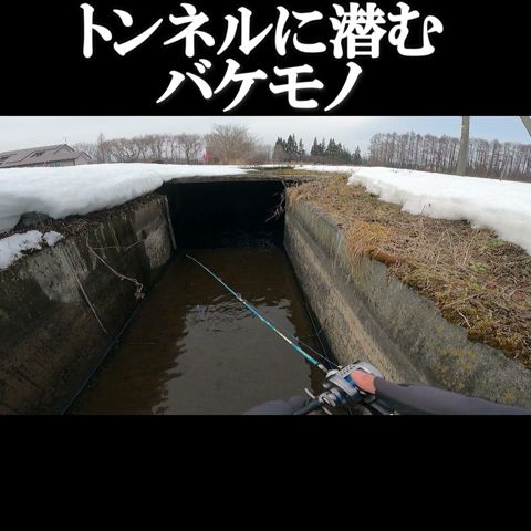 トンネルに潜むモンスター‼️