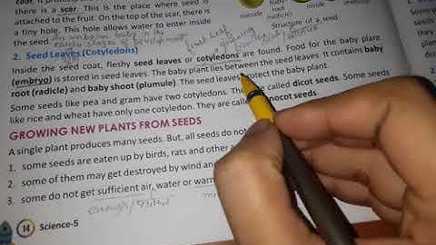 Chapter 2  Science Class-5