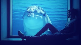 그녀는 파란 꿈을 꿉니다  Josh Woodward 🎵She Dreams In blue (Lyrics Video)