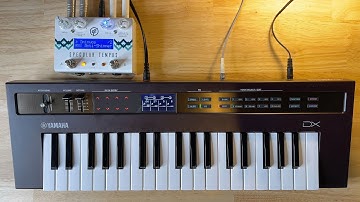 Ambient w/ Moog One, Reface DX, SPECULAR TEMPUS | Germination 2025-03-01