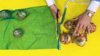 Super recycling of discarded onion nets! | Be sure to watch this