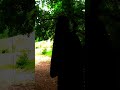 Estava a gravar na floresta… e algo apareceu 👻Assiste até o fim  #fantasma #floresta #misterio #cine