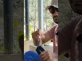 Kopi Pahit di Embung #kupang #nature #youtubeshorts #camping #travel #forest #fyp