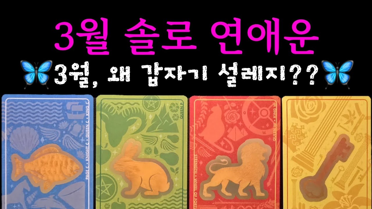 [타로/연애운] 🦋3월 솔로 연애운🦋(주요이슈/주요인물특징/관계흐름)