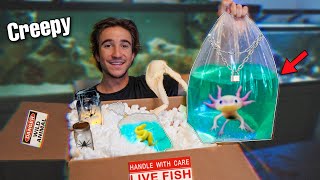 WE BOUGHT THE CREEPIEST MYSTERY BOX... (fish inside)