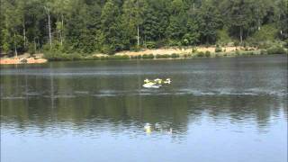 Joe Nall 2011 Float Flying.wmv