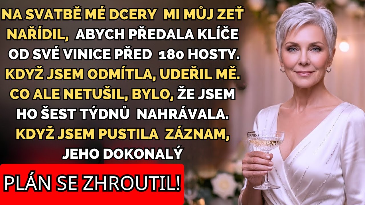 Na svatbě mé dcery mě můj zeť před všemi vyzval, abych mu předala klíče od své vinice…