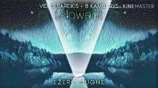 Vidas Bareikis ir 8 Kambarys - Ežero dugne (slowed)