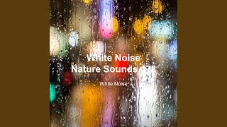 Calm Rain Sound for Sleep 2