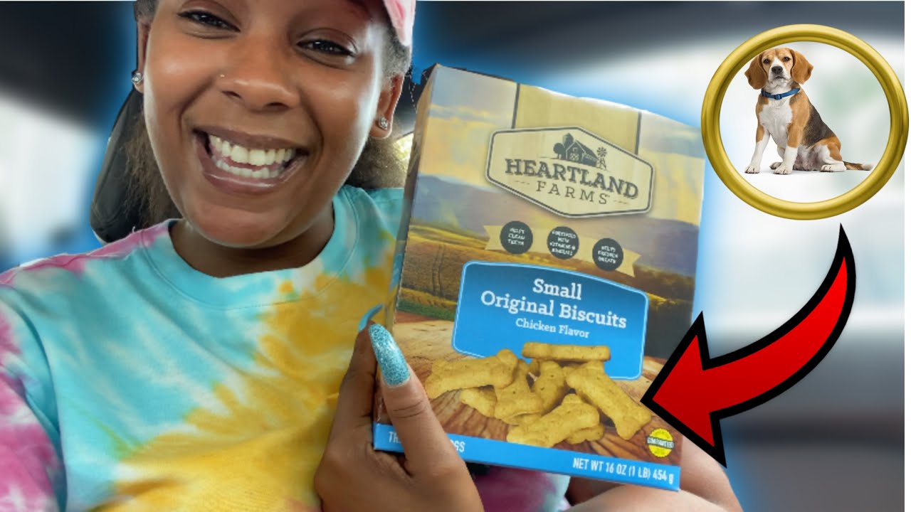 DOG FOOD *PRANK* (SHE GOT SICK) YouTube