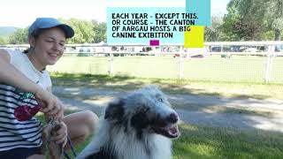Switzerland with Shelties: today's episode is about the canton of Aargau