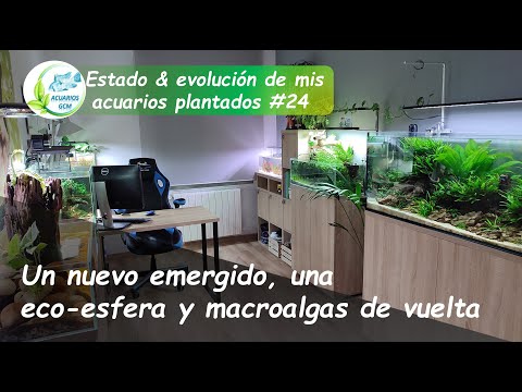 Vidéo: Comment déplacer un aquarium en verre vide de plus de 75 gallons