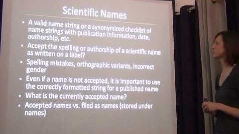 BITC / Data Capture - Authority Files - 2