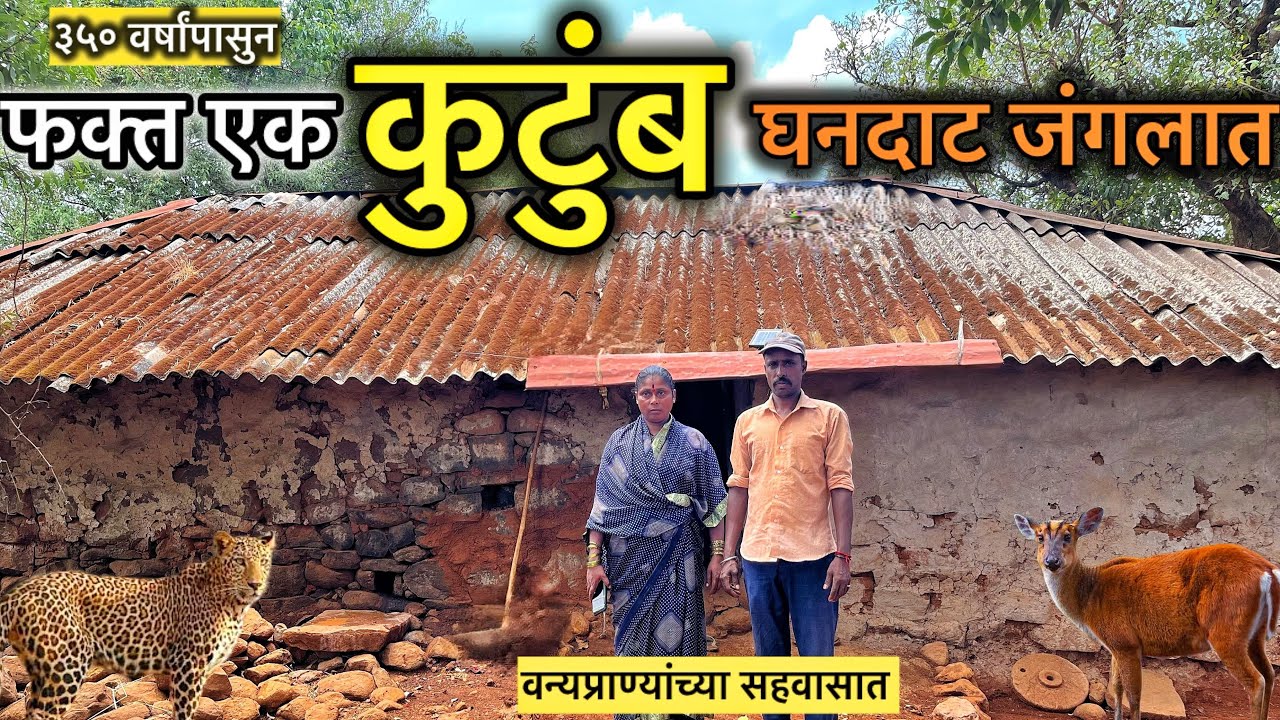 राजगडाच्या जंगलात 🌳राहणाऱ्या एकमेव ढेबे कुटुंबीयांचा 🛖 संपुर्ण जीवनप्रवास वर्णन 🦚🦌🐆