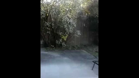 The birds were hungry this afternoon!