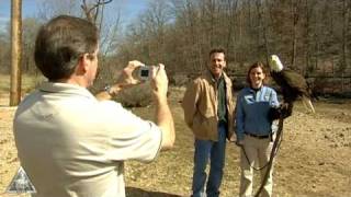 World Bird Sanctuary by MObirds 563 views 13 years ago 7 minutes, 28 seconds